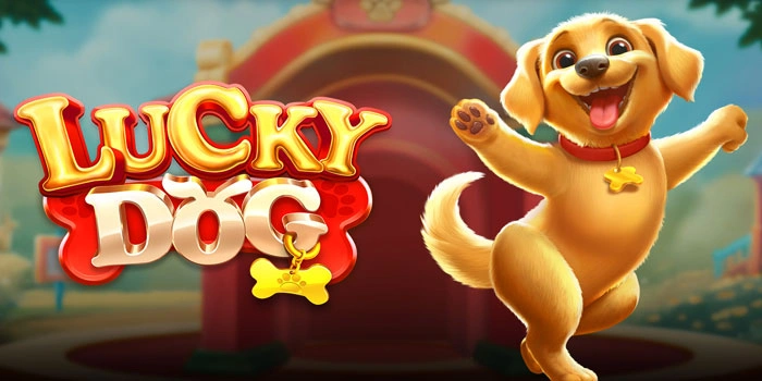 Strategi Pola Spin Paling Mantap di Slot Lucky Dog